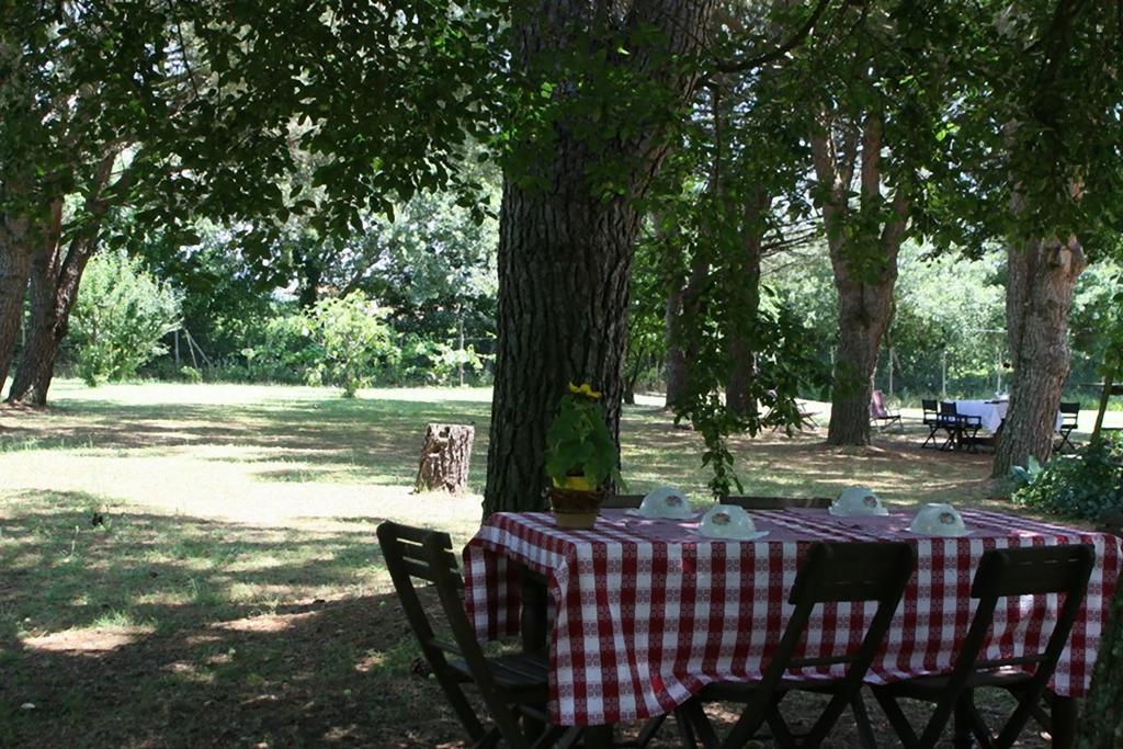 Campo alle Monache Bucine Esterno foto