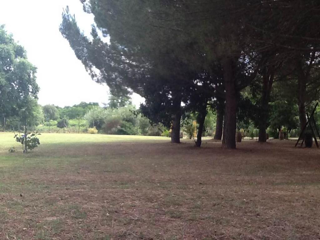 Campo alle Monache Bucine Esterno foto