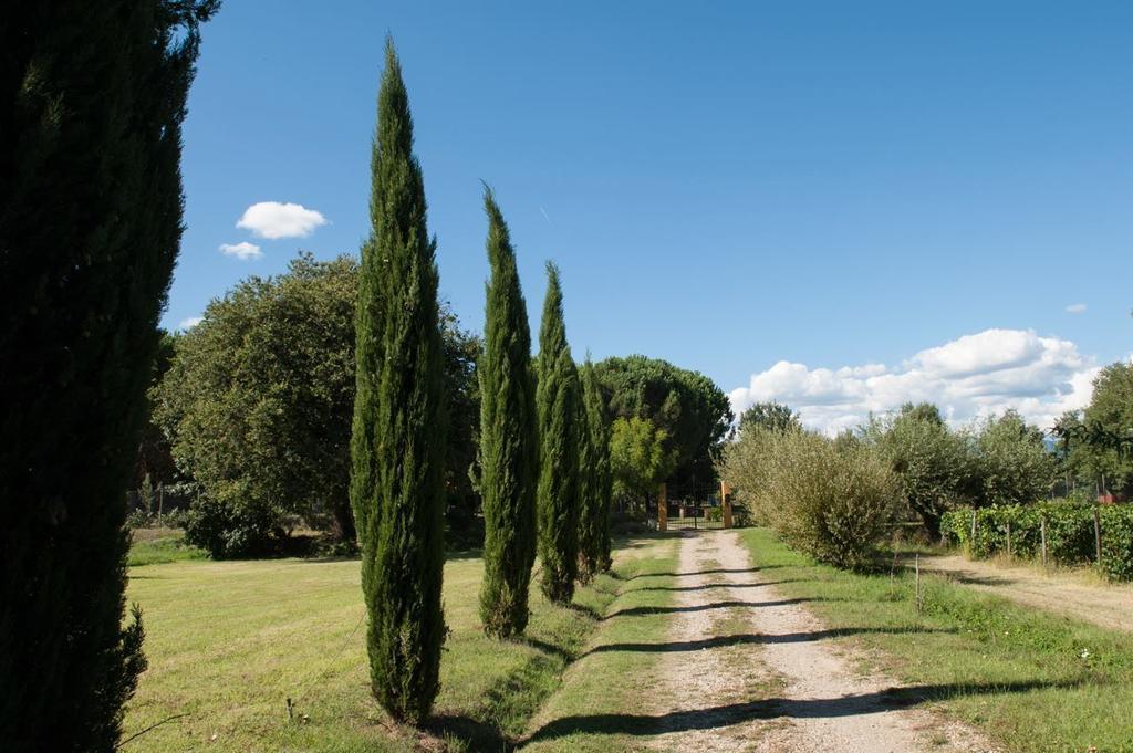 Campo alle Monache Bucine Esterno foto