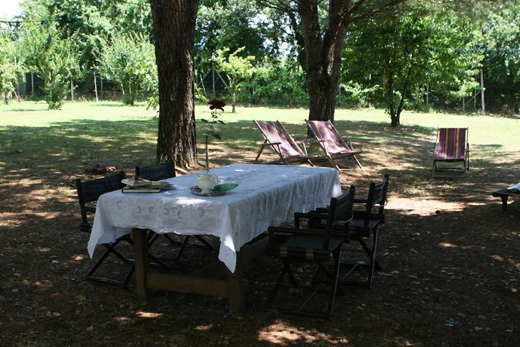 Campo alle Monache Bucine Esterno foto
