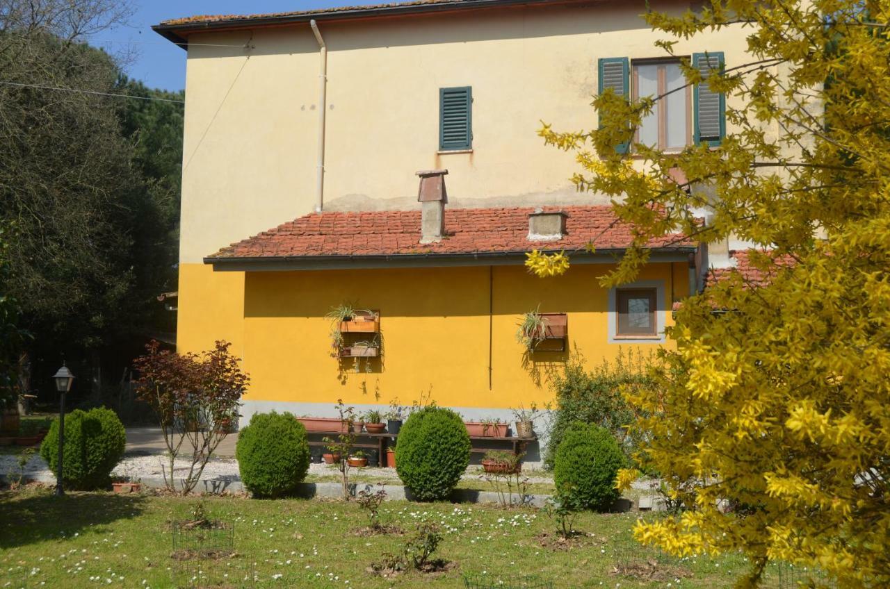 Campo alle Monache Bucine Esterno foto