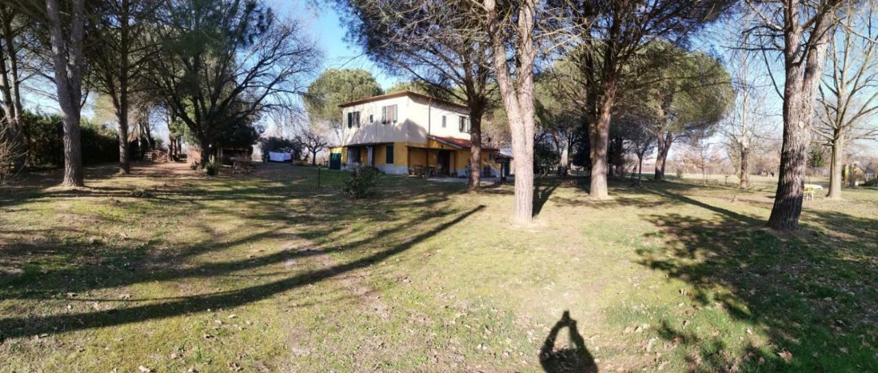 Campo alle Monache Bucine Esterno foto