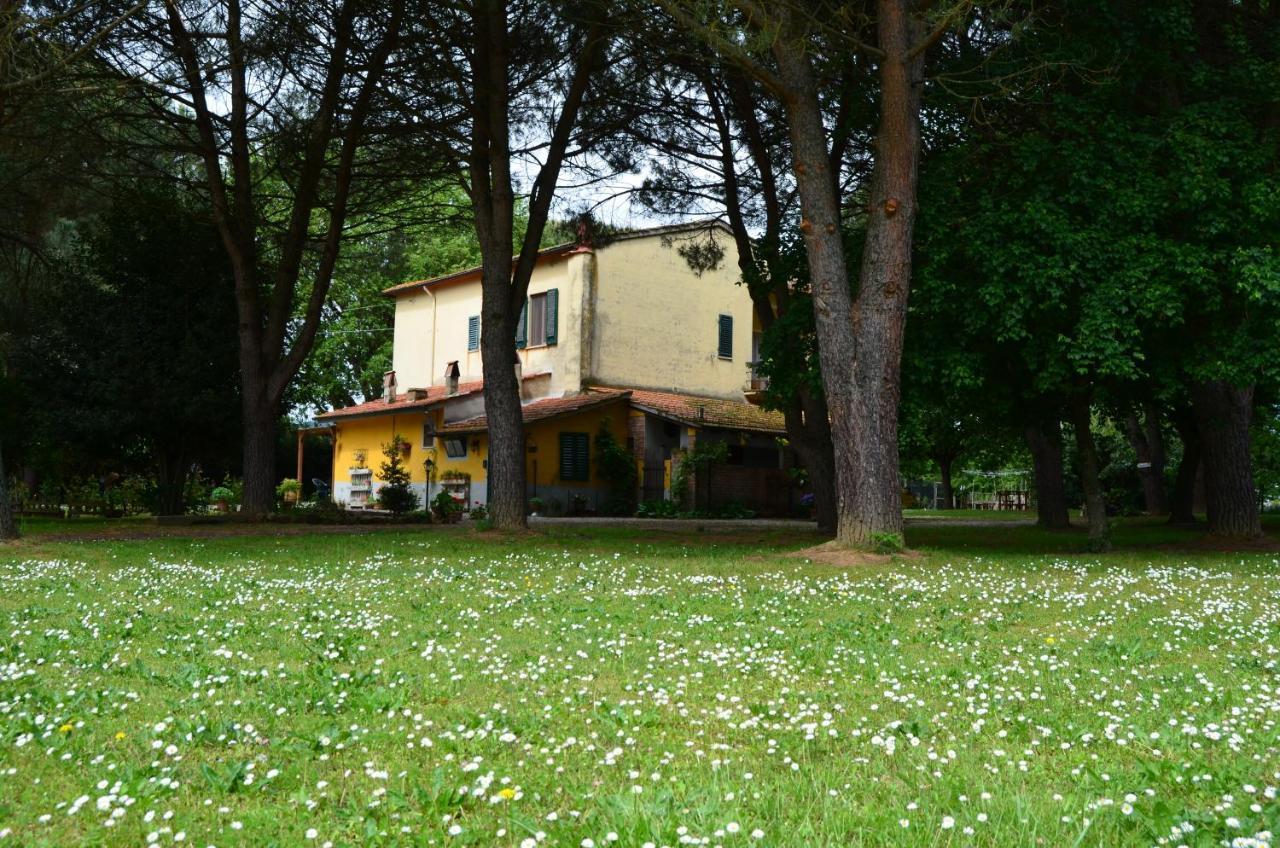 Campo alle Monache Bucine Esterno foto